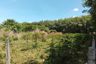 Land for sale in Thep Krasatti, Phuket