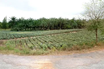 Land for sale in Salalai, Prachuap Khiri Khan