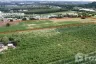 Land for sale in Makham Khu, Rayong