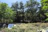 Land for sale in Sakhu, Phuket