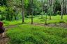 Land for sale in Si Sunthon, Phuket