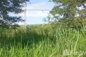 Land for sale in Hin Lek Fai, Prachuap Khiri Khan