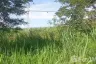 Land for sale in Hin Lek Fai, Prachuap Khiri Khan