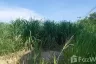 Land for sale in Hin Lek Fai, Prachuap Khiri Khan