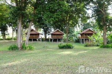 Land for sale in Bu Hom, Loei
