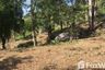 Land for sale in Patong, Phuket