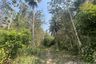 Land for sale in Nong Phlap, Prachuap Khiri Khan