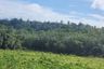 Land for sale in Thep Krasatti, Phuket