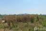 Land for sale in Pran Buri, Prachuap Khiri Khan