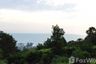 Land for sale in Karon, Phuket