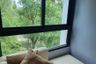 1 Bedroom Condo for rent in Zcape X2, Choeng Thale, Phuket