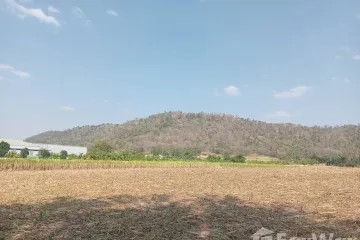 Land for sale in Nong Phai Kaeo, Chonburi