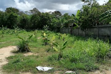 Land for sale in Nong Prue, Chonburi