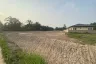 Land for sale in Huai Yai, Chonburi