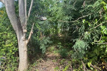 Land for sale in Thawi Watthana, Bangkok