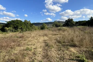 Land for sale in Hua Na, Nong Bua Lamphu