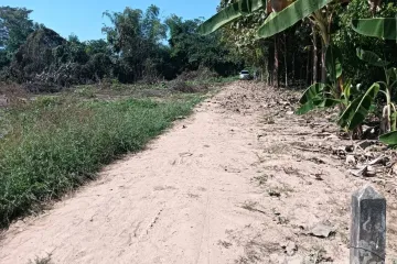 Land for sale in Wang Nam Khu, Phitsanulok