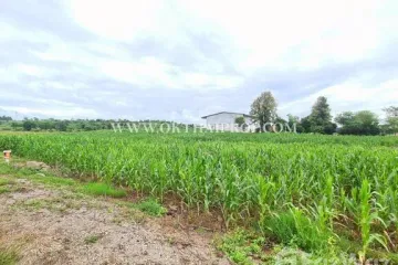 Land for sale in Kan Chu, Phetchabun