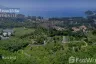 Land for sale in Choeng Thale, Phuket