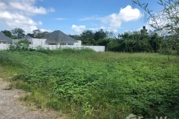 Land for sale in Thep Krasatti, Phuket