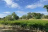 Land for sale in Ban Phra, Prachin Buri