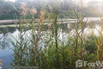 Land for sale in Na Saeng, Lampang