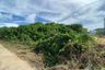 Land for sale in Rawai, Phuket