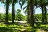 Land for sale in Krabi Noi, Krabi
