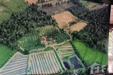 Land for sale in Sikhio, Nakhon Ratchasima