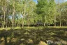 Land for sale in Mai Khao, Phuket