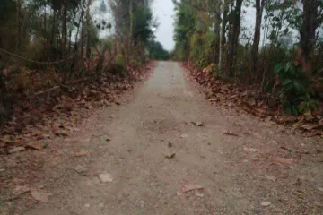 Land for sale in Chomphu, Lampang