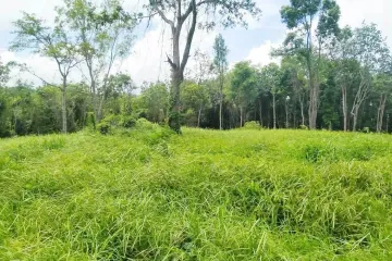 Land for sale in Choeng Thale, Phuket