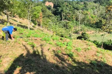 Land for sale in Sakhu, Phuket