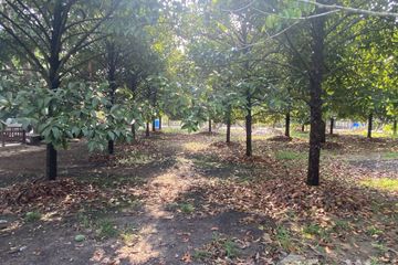 Land for sale in Wan Yao, Chanthaburi