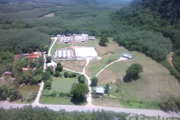 Land for sale in Wang Saphung, Loei