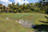Land for sale in Khlong Prasong, Krabi
