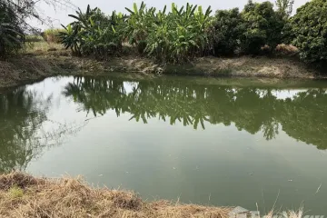 Land for sale in Mae Kasa, Tak