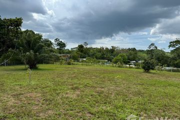 Land for sale in Lo Yung, Phang Nga
