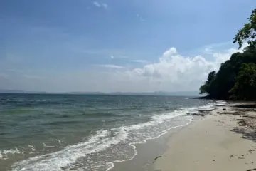 Land for sale in Pa Khlok, Phuket