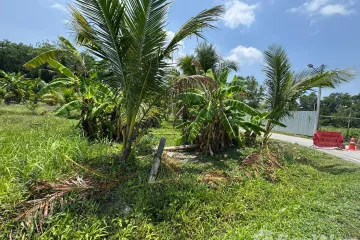 Land for sale in Si Sunthon, Phuket