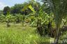 Land for sale in Si Sunthon, Phuket