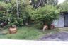 Land for sale in Khlong Dan, Samut Prakan