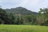 Land for sale in Thep Krasatti, Phuket