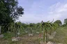 Land for sale in Sang Nok Tha, Amnat Charoen