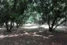 Land for sale in 