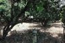 Land for sale in 