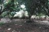 Land for sale in 