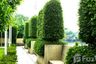 5 Bedroom House for Sale or Rent in The Star Estate at Phatthanakarn 69, Prawet, Bangkok