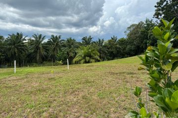 Land for sale in Lo Yung, Phang Nga