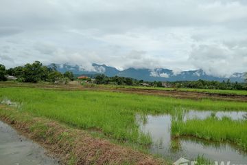 Land for sale in Ban Tom, Phayao